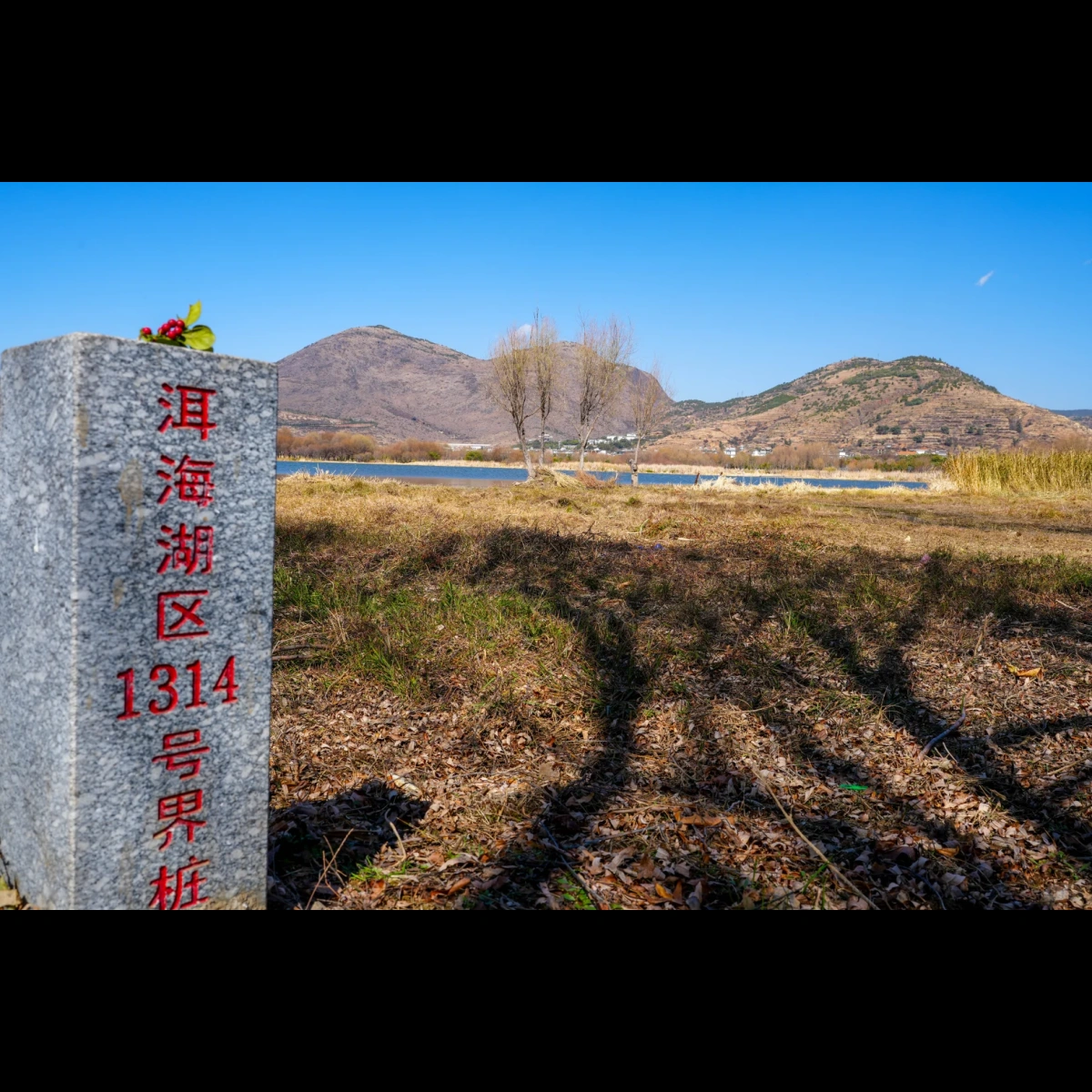 以界桩为锚，守护高原明珠——洱海湖区生态保护界桩管控体系建设实践